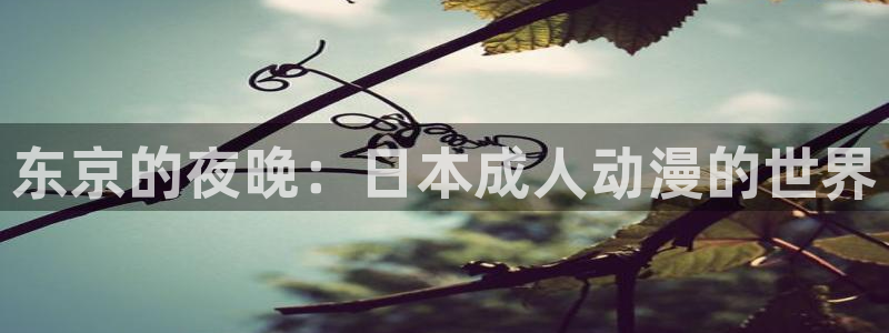 喵趣漫画完结：东京的夜晚：日本成人动漫的世界配图