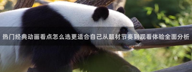 喵趣漫画高清版:热门经典动画看点怎么选更适合自己从题材节奏到观看体验全面分析配图